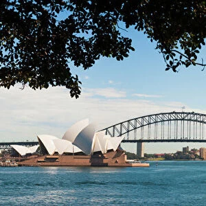 Sydney Opera House, UNESCO World Heritage Site, and Sydney Harbour Bridge panoramic from Sydney Royal Botanic Gardens, Sydney, New South Wales, Australia, Pacific