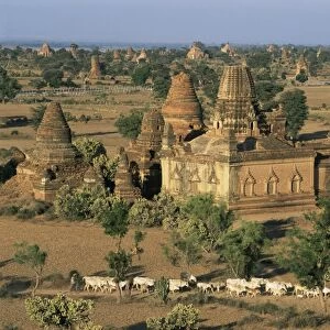 View north from Gayokpyemin Pagoda across Bagan (Pagan), Myanmar (Burma), Asia