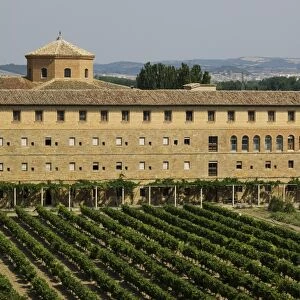 Vineyard and monastery