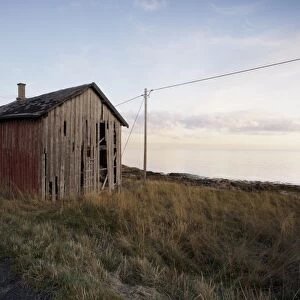 Weathered barn on coast, Lofoten Islands, Norway, Scandinavia, Europe