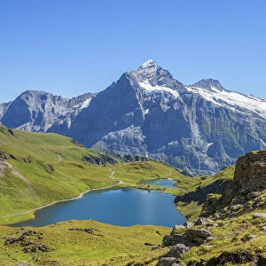 Bachalpsee with Wetterhorn and Schreckhorn, Grindelwald, Berner Oberland, Canton Berne