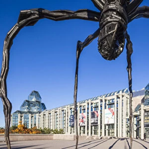 Canada, Ontario, Ottowa, capital of Canada, National Gallery and Maman sculpture