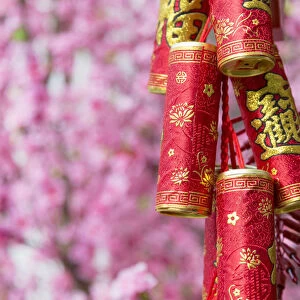 Chinese New Year decorations and plum blossom, Hong Kong