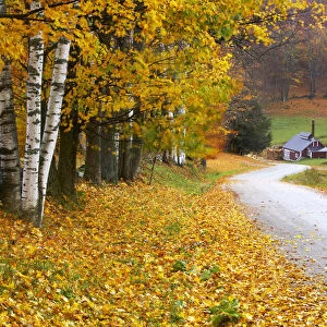 Country Lane Leading to The Sugar Mill, near Woodstock, Vermont, USA