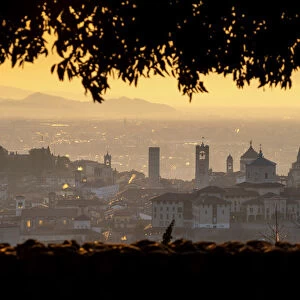 Europe, Italy, city of Bergamo at dawn, province of Bergamo