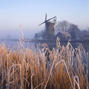 Frost along River Bure at Oby Mill, Norfolk, England