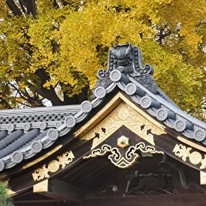 Japan, Kyoto, Nishi-Honganji Temple, Detail of Roof and Autumn Leaves