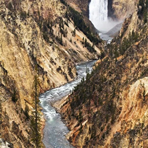 Lower Yellowstone falls, Yellowstone National Park, Wyoming, USA