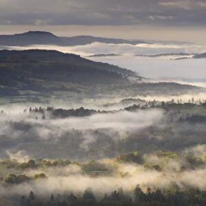 Mist covered Lake District countryside at dawn, Cumbria, England. Autumn (October)