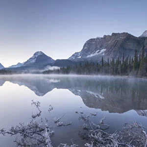 Misty and frosty morning at Bow Lake in Banff National Park, Alberta, Canada
