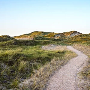 Netherlands, North Holland, Julianadorp. Walking path through the dunes