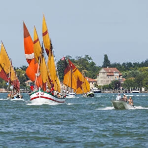 Regatta with traditional sailboats, Venice, Veneto, Italy