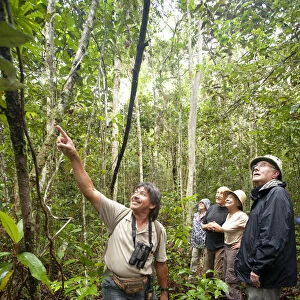 South America, Brazil, Amazonas, tourists spotting wildlife in the rainforest with