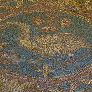 Swan Mosaic from Temple to Athena, Soloi, North Cyprus