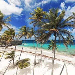 Tall palm trees lean over the white sands of Bottom Bay beach, in Barbados