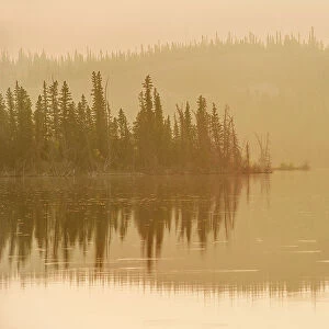 Trees reflected in Edna Lake during a foggy sunrise, Jasper National Park, Alberta, Canada