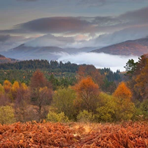 The Trossachs National Park in Autumn, Central Region, Stirling, Scotland