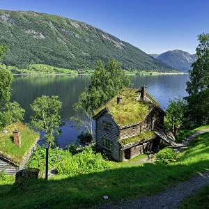 Turist photograp Old farms with grass roof, Astruptunet, Jolster, Sunnfjord, Sogn og Fjordane county, Norway