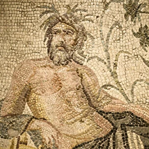 Turkey, Eastern Turkey, Gaziantep - Antep, Museum, Mosaic from Roman site of Belkis