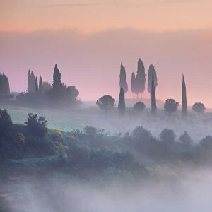 Tuscany landscape with cypresses in fog - Italy, Tuscany, Siena, Val d Orcia