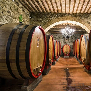 Wine Barrels at the Costanti Winery, Montalcino, Tuscany, Italy