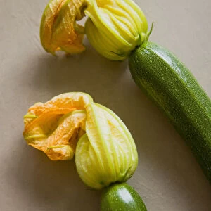 Courgette, Curcubito pepo, two freshly harvested zucchini with flowers intact