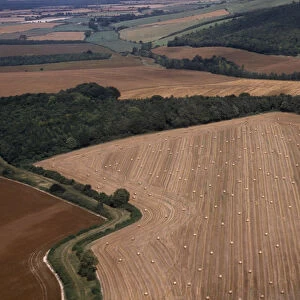 ENGLAND, Dorset, Agriculture Aerial view over arable landscape
