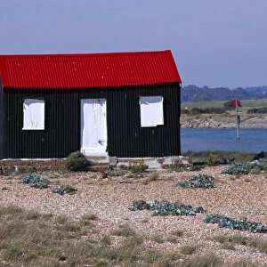 ENGLAND East sussex Rye Rye harbour Red and black corrugated hut with white doors built