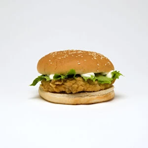 Food, Cooked, Poultry; Chicken breast fillet burger with lettuce