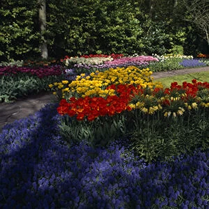 HOLLAND, South, Lisse Keukenhof Gardens. Multicoloured tulip display with a small