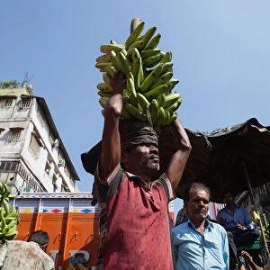 India, West Bengal, Kolkata, Bananas are auctioned at the fruit wholesalers market