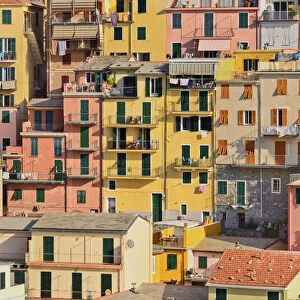 Italy, Liguria, Cinque Terre, Manarola, A section of the towns colourful housing bathed