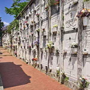 Italy, Liguria, Cinque Terre, Monterosso al Mare, A section of the town cemetery above