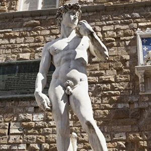Italy, Tuscany, Florence, Replica of Michelangelo statue of David outside Palazzo Vecchio, Piazza Della Signoria