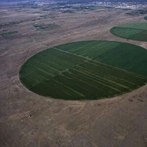 OMAN, Sohar Aerial view over circular desert agriculture