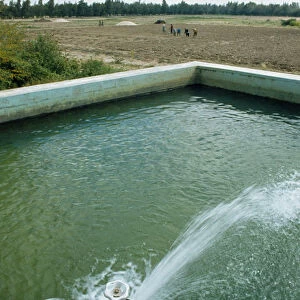 Qatar, General, Water pouring into an irrigation pool beside vegetable fields
