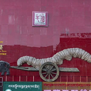 A shop in Lhasa, Tibet, advertising Yartsa Gunbu - the caterpillar fungus