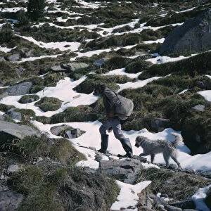 SPAIN, Pyrenees Shepherd climbing mountain path in melting snow followed by dog