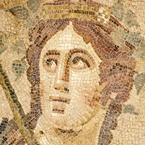 Turkey, Anatolia, Ephesus, Mosaic on the floor of one of the terrace houses