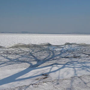 The shadow of a tree is seen during a winter day on the shore of Lake Balaton in Fonyod