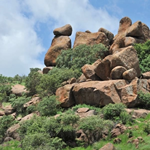 Boulders in lowveld habitat, Pilanesberg N. P. North West Province, South Africa