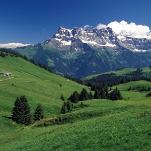 France Alpine Meadow views towards Dents De Midi, France