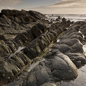 Heavily folded sandstone and mudstone rocks, Hartland Quay, North Devon, England, may