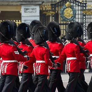 Irish Guards guardsmen in ceremonial uniforms, Changing of the Guard outside palace, Buckingham Palace