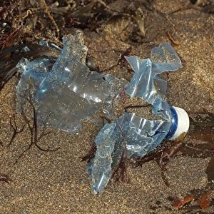 Plastic bottle breaking down on beach strandline, Bude, Cornwall, England, january