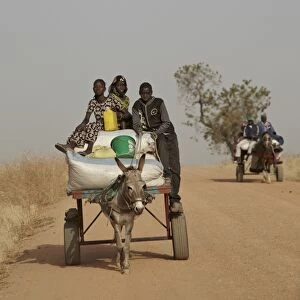 Senegalese children riding donkey pulled cart along road to nearby market, near Toubacouta, Senegal, january