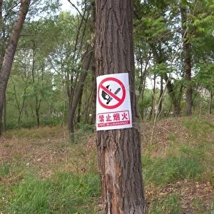 Sign warning of fire danger, on tree trunk in forest, Zushan Forest Park, Qinhuangdao, China, may