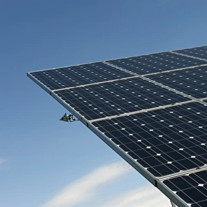 Solar energy panels at ecotech centre, Swaffham, Norfolk, England, august
