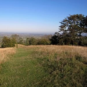 View of downland habitat, Whiteleaf Hill Nature Reserve, Chilterns, Buckinghamshire, England, october