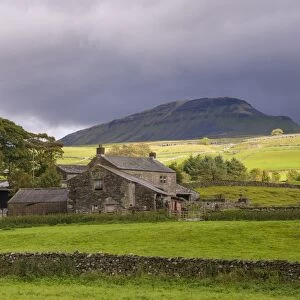 View of drystone walls, pasture and farmhouse, with Peny-y-ghent Hill in background, Horton, Ribblesdale